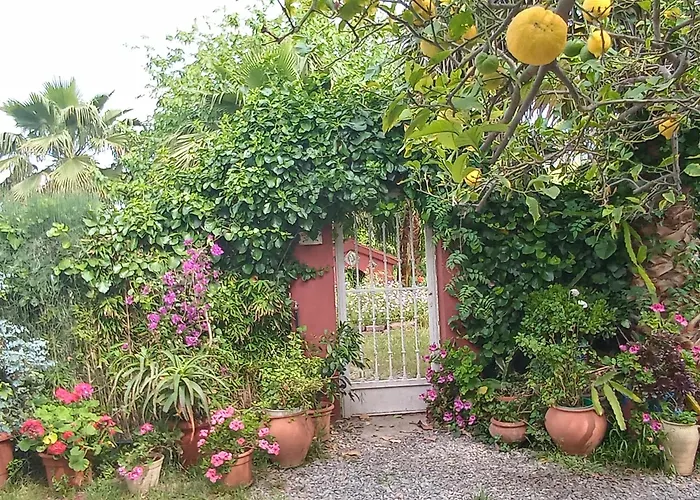 Casa Con Jardin Frente Playa De Burriana