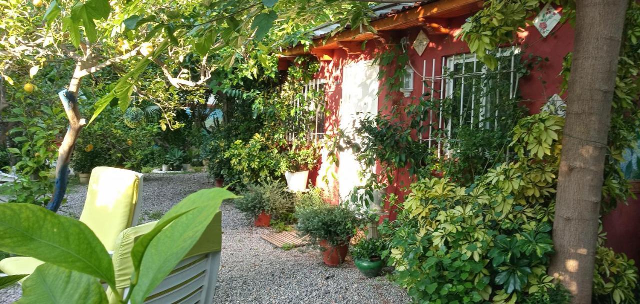 Casa Con Jardin Frente Playa De Hébergement de vacances *