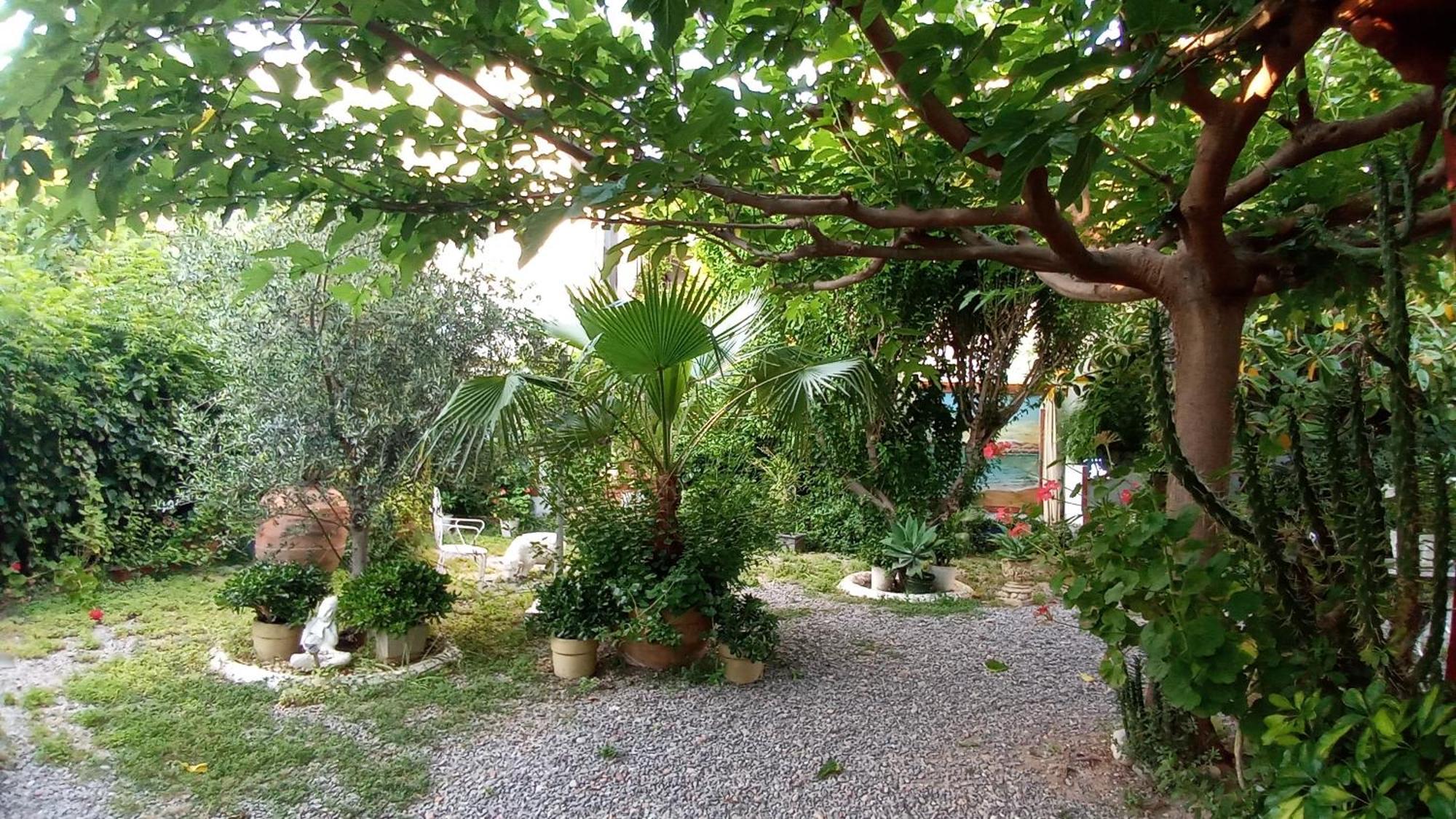 Casa Con Jardin Frente Playa De Hébergement de vacances Burriana