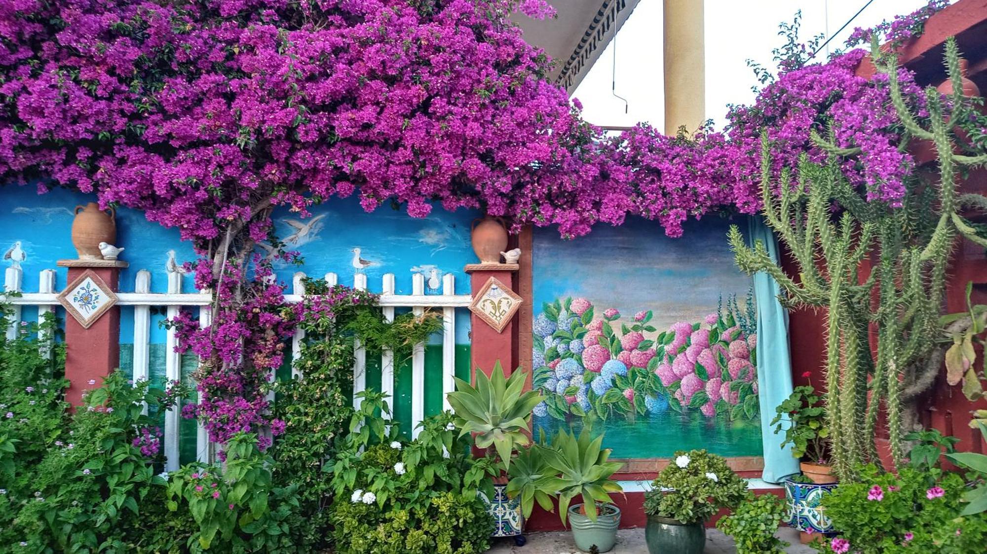 Casa Con Jardin Frente Playa De
