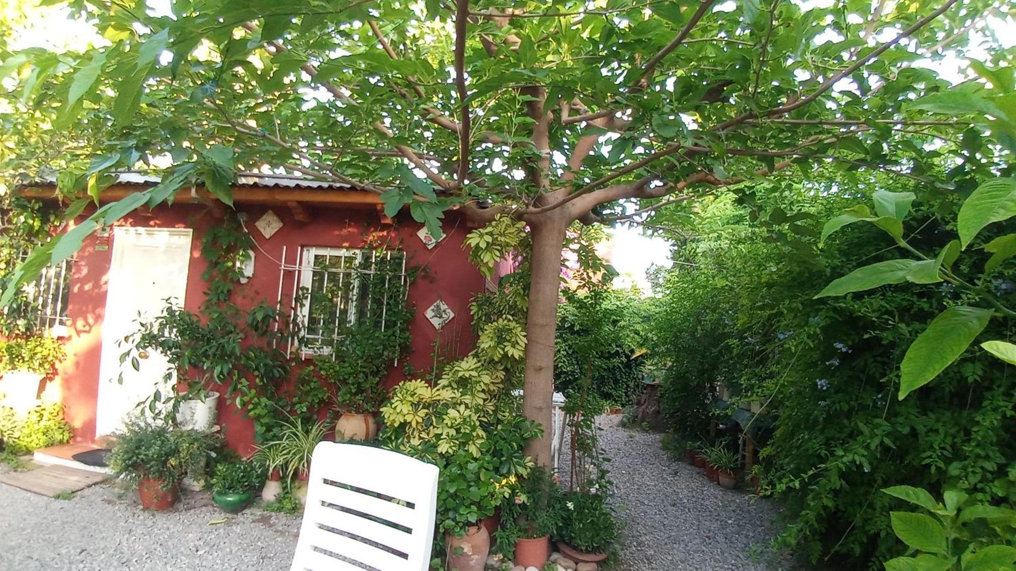 Casa Con Jardin Frente Playa De Burriana