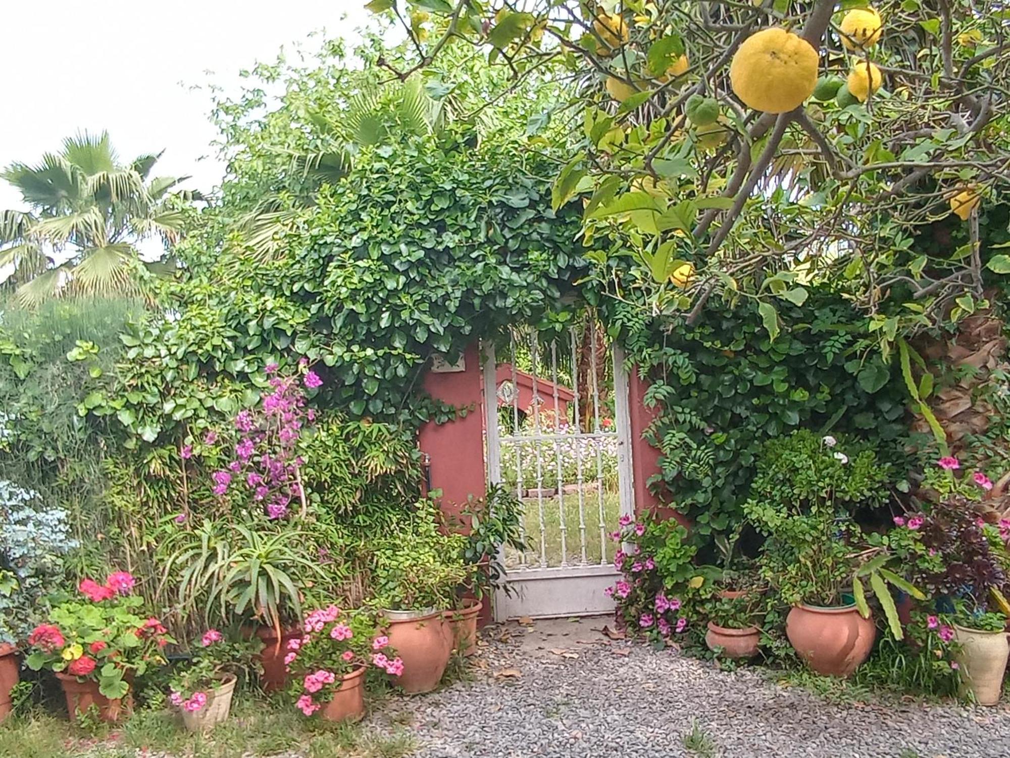 Hébergement de vacances Casa Con Jardin Frente Playa De *