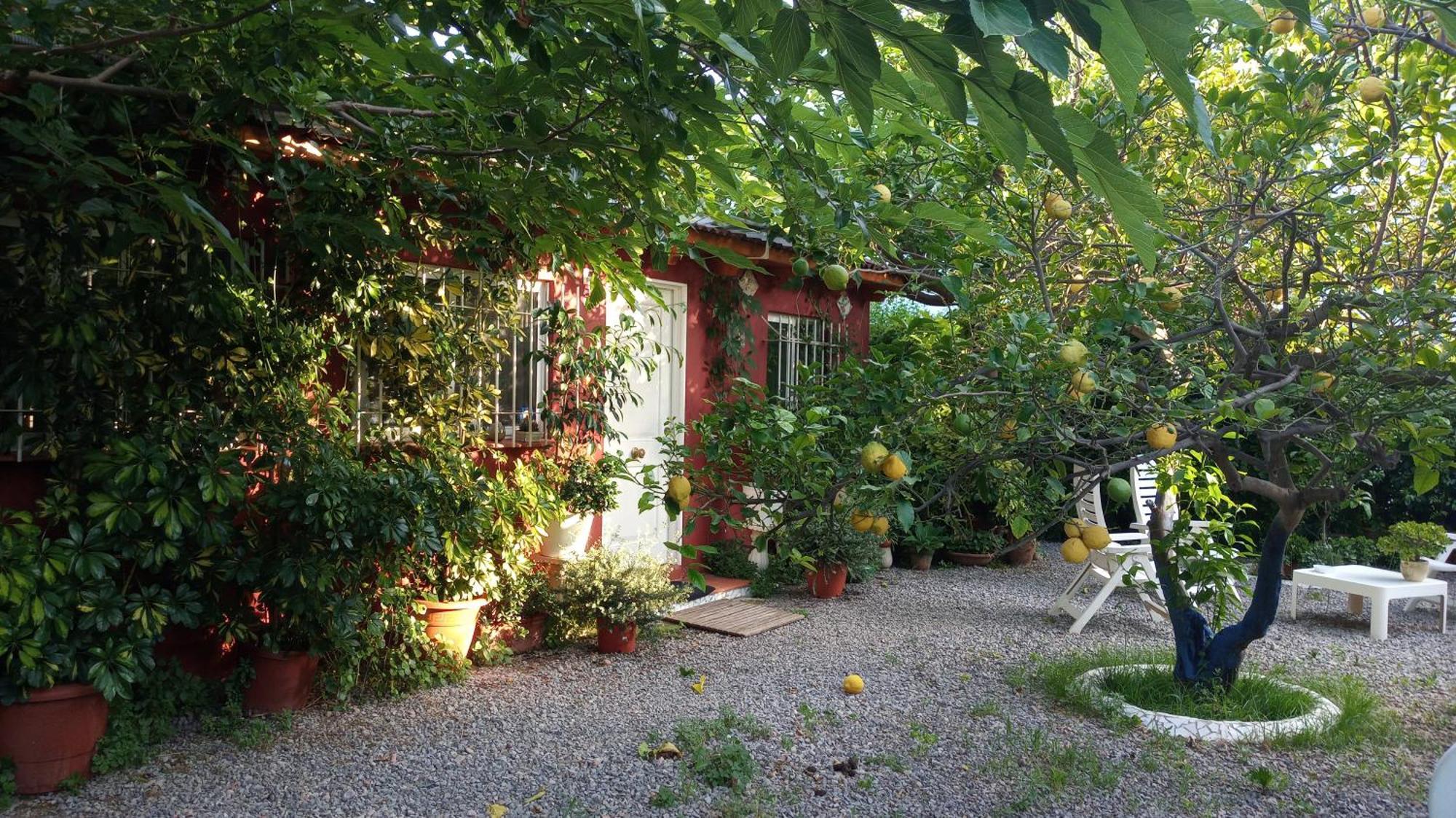 Casa Con Jardin Frente Playa De Hébergement de vacances Burriana