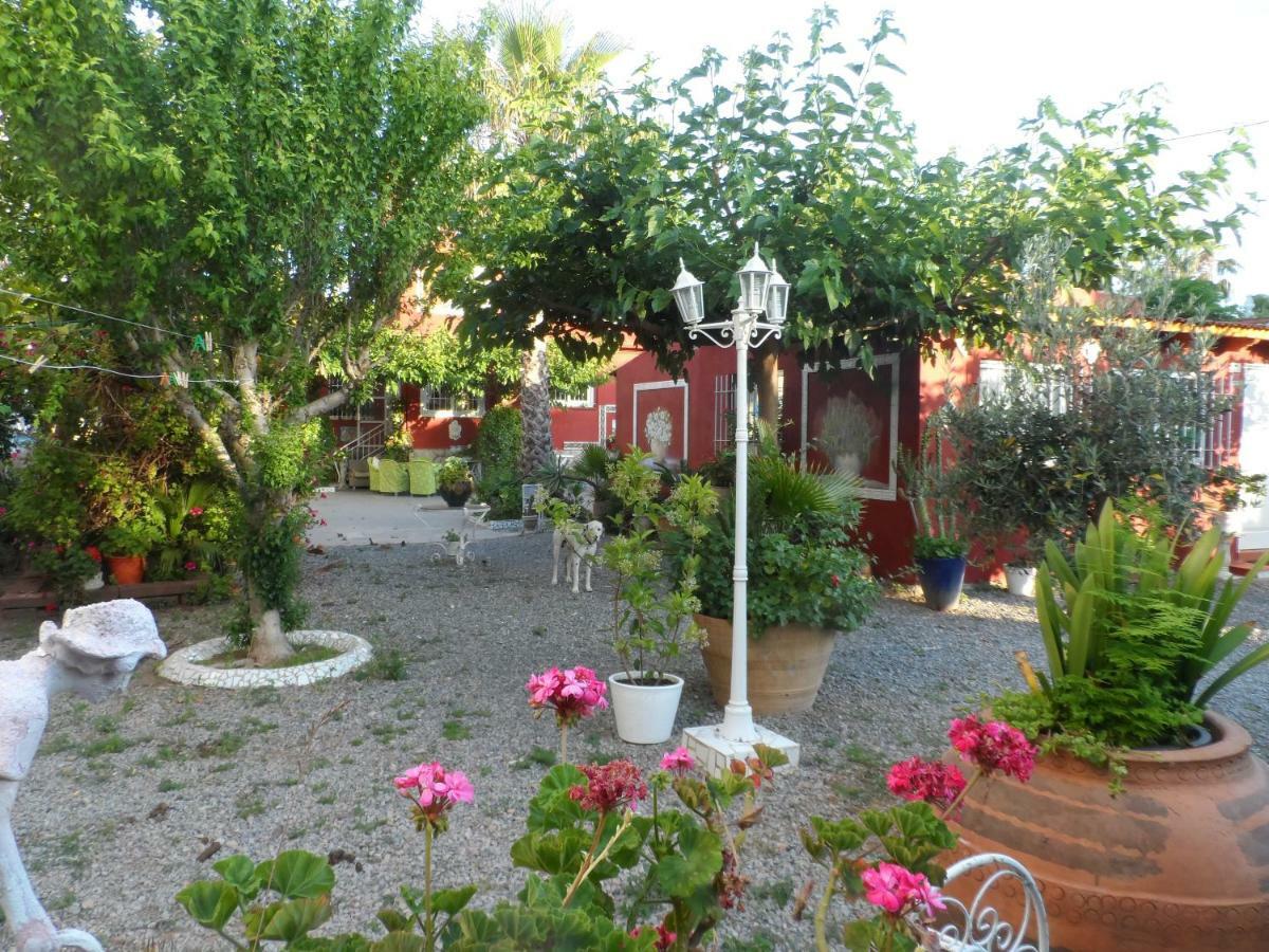 Casa Con Jardin Frente Playa De *