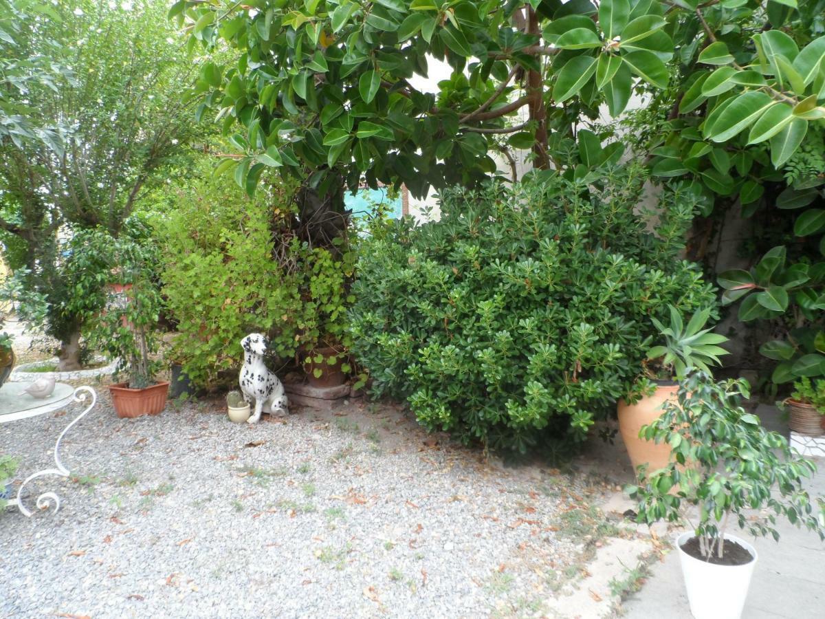 Casa Con Jardin Frente Playa De Burriana
