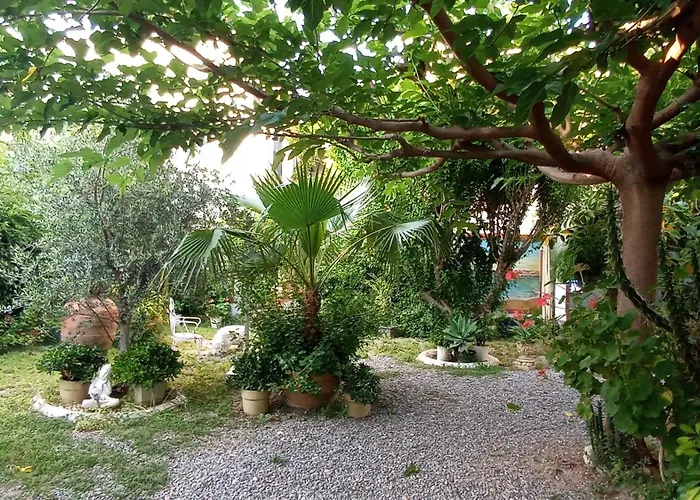 Casa Con Jardin Frente Playa De Burriana