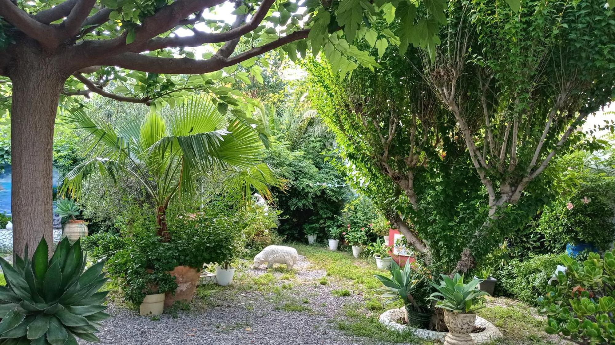 Casa Con Jardin Frente Playa De *