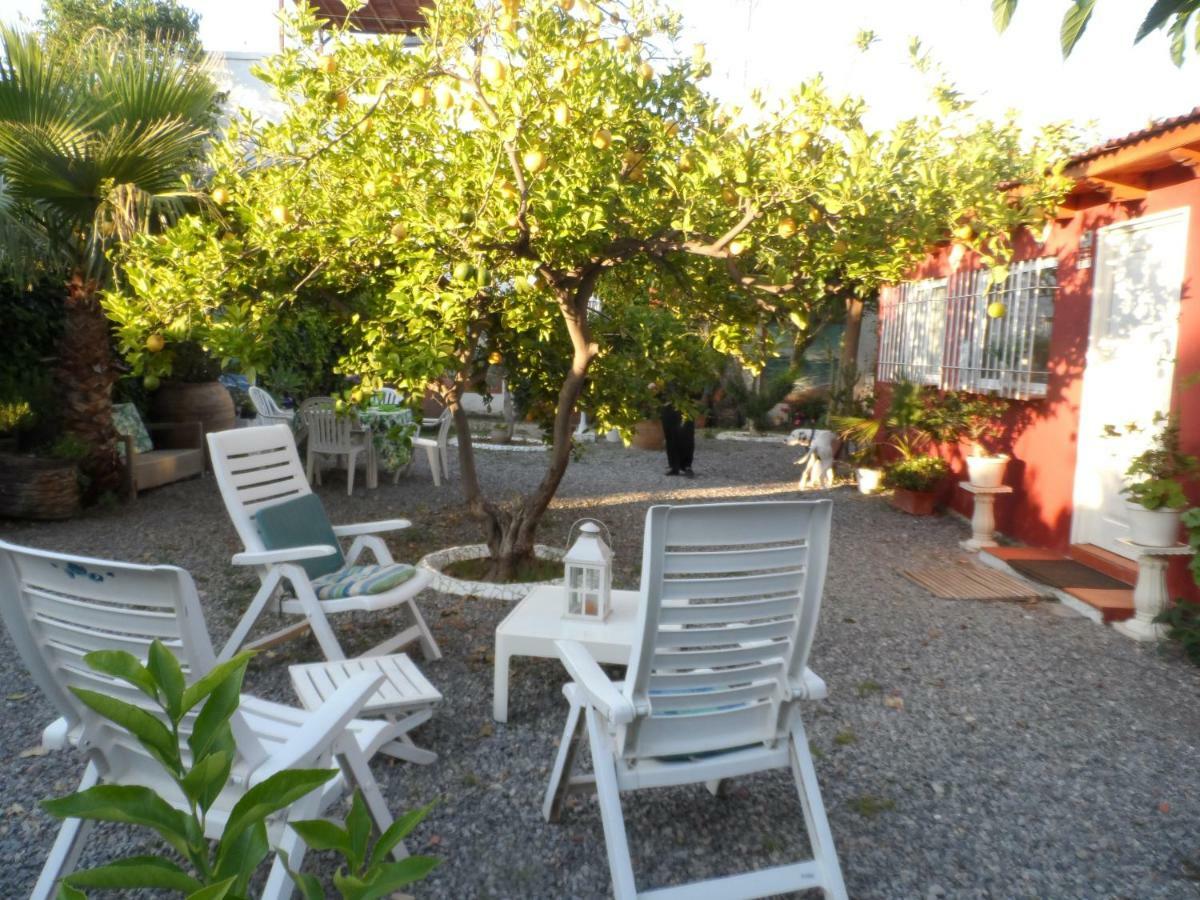 Casa Con Jardin Frente Playa De * Burriana