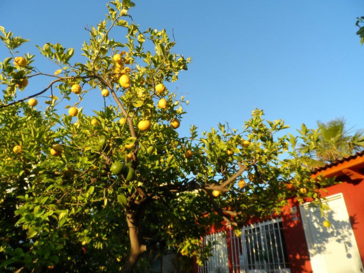 Holiday home Casa Con Jardin Frente Playa De Burriana